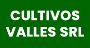 CULTIVOS VALLES SRL