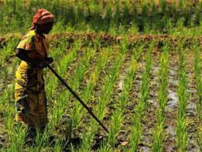 La agricultura, parte de la solución, no del problema, del calentamiento global