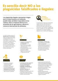 Es sencillo decir NO a los plaguicidas falsificados e ilegales