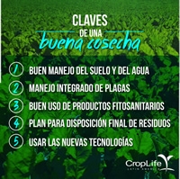 Claves de una buena cocecha