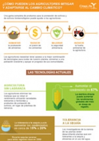¿Cómo impacta el cambio climático a la agricultura?
