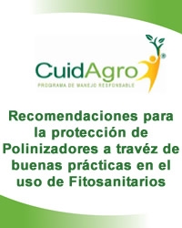 Recomendaciones para la protección de Polinizadores a travéz de buenas prácticas en el uso de Fitosanitarios