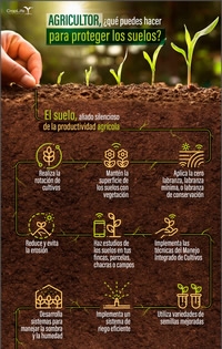Agricultor, ¿Qué puedes hacer para proteger los suelos?